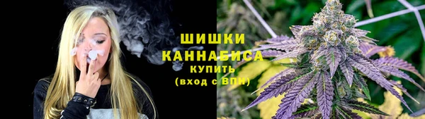 прущие крисы Инта