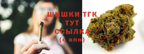 прущие крисы Инта