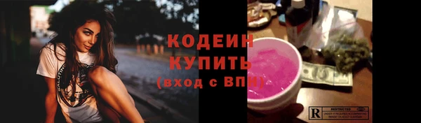 прущие крисы Инта