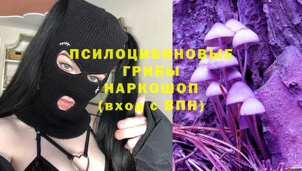 прущие крисы Инта