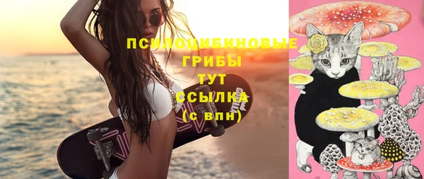 прущие крисы Инта