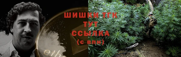 прущие крисы Инта