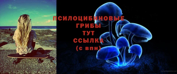 прущие крисы Инта